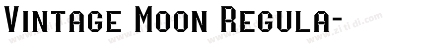 Vintage Moon Regula字体转换